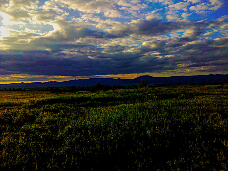 Grassy Field at Sunset — Green, Dramatic