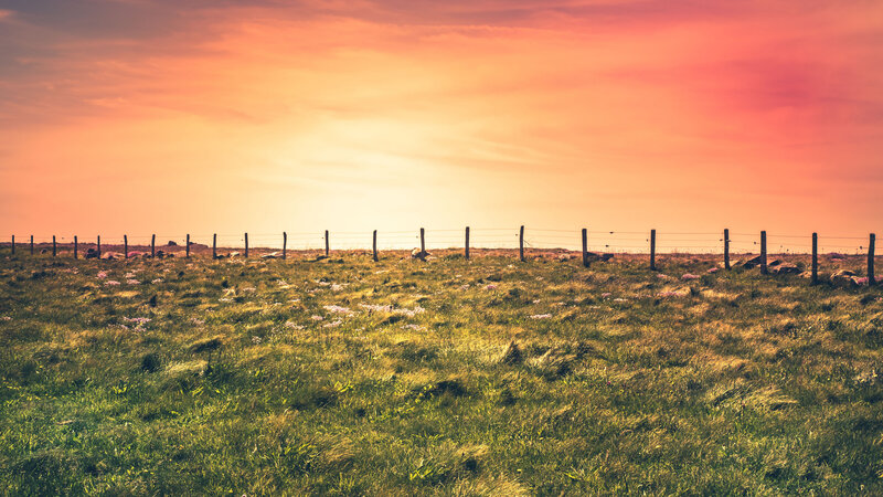 Grassy Field at Sunset — Orange, Serene, Photograph, Fence