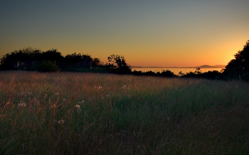 Grassy Field at Sunset — Orange, Serene