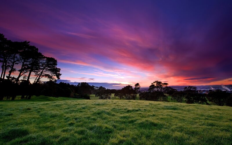 Grassy Field at Sunset — Purple, Dramatic, Photograph