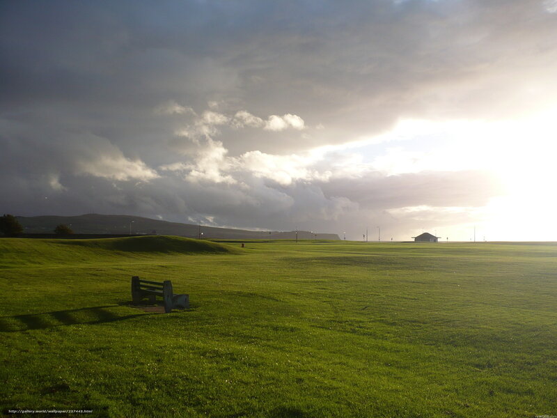 Grassy field at sunset