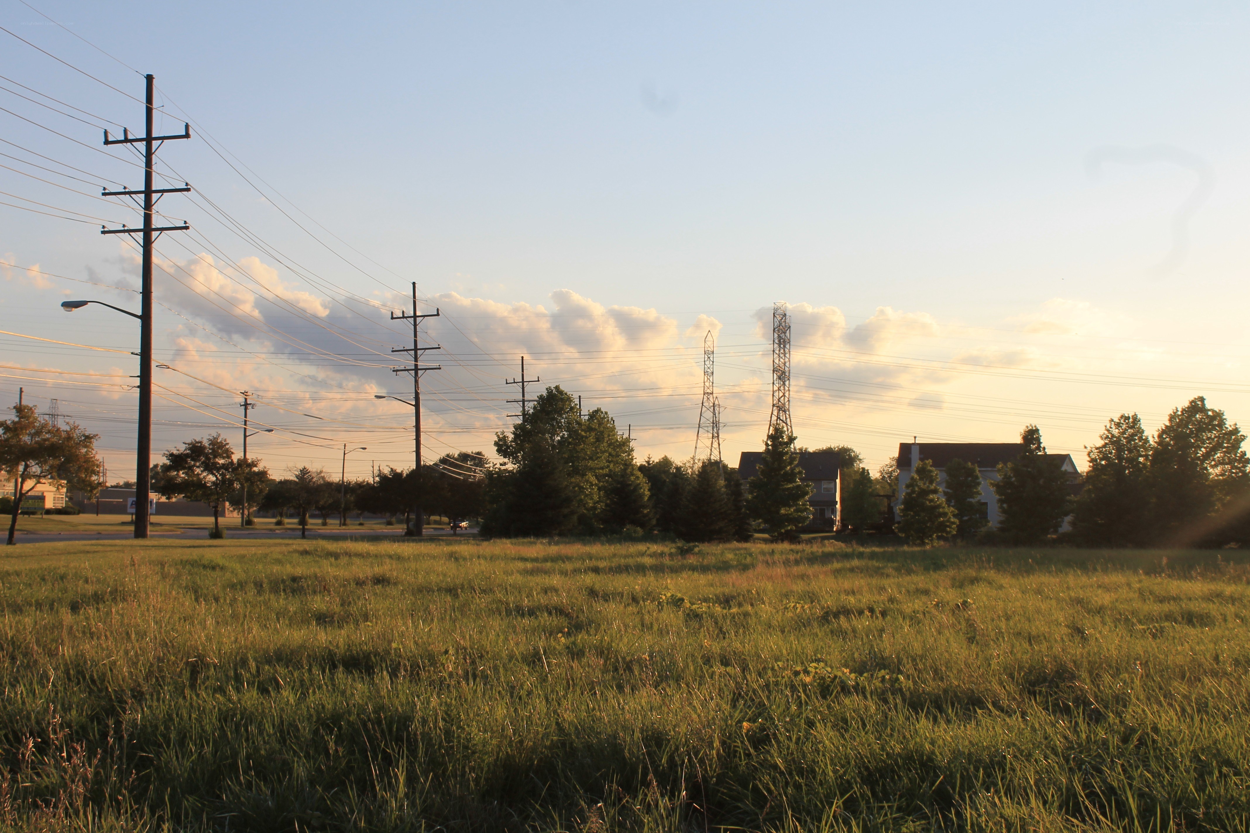 Grassy field at sunset with power lines
