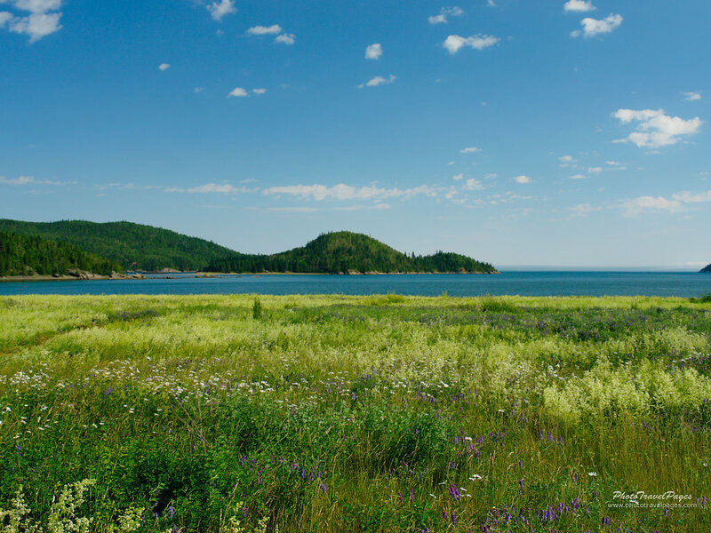 Grassy Field by Lake