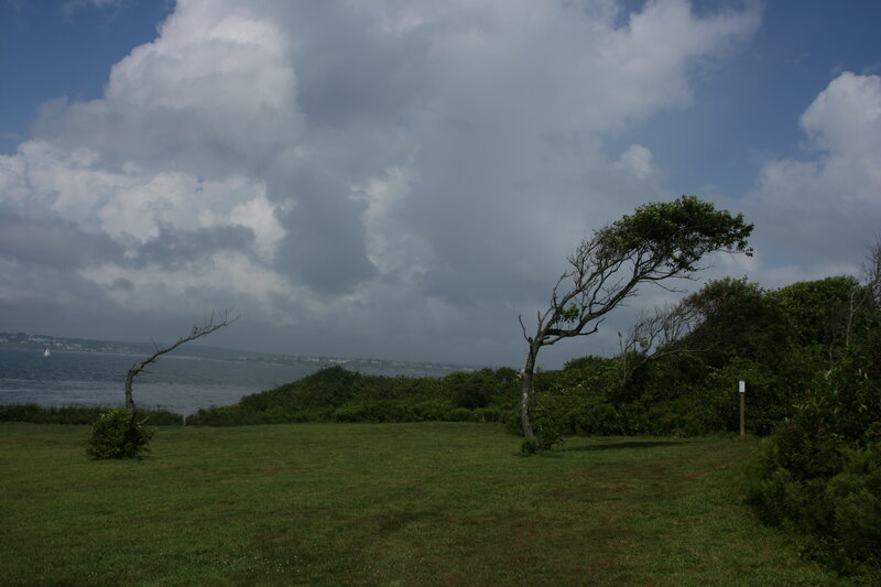 Grassy field overlooking the sea