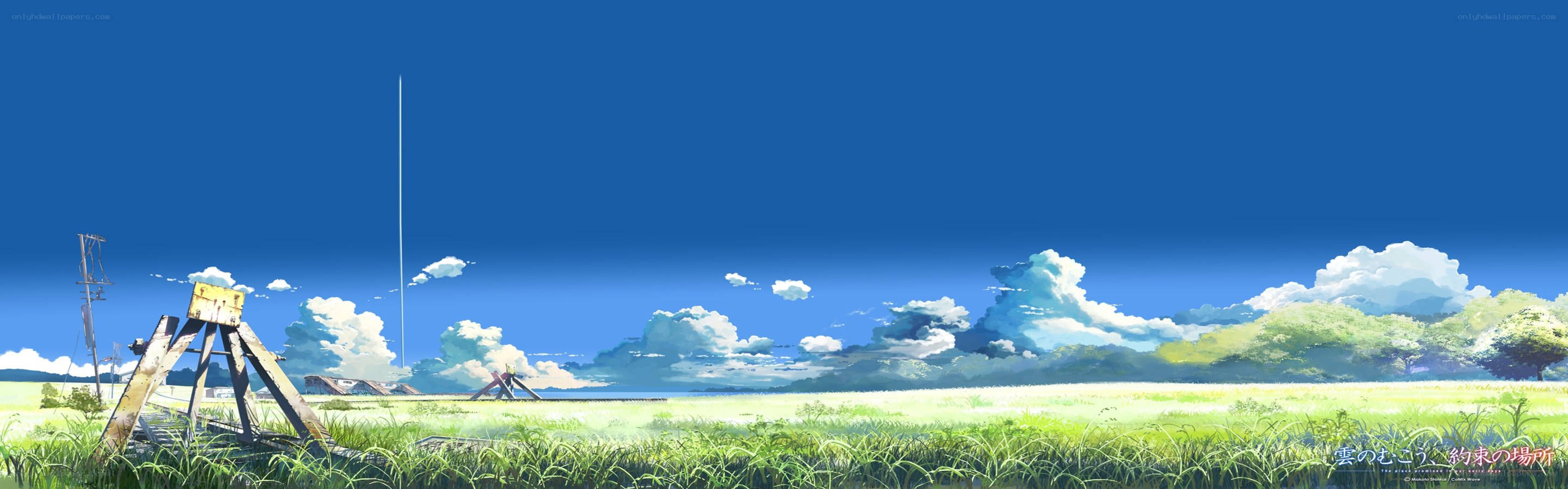 Grassy field under blue sky
