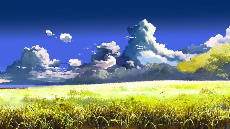 Grassy Field under Clouds