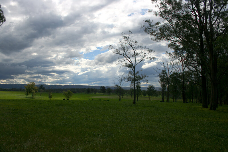 Grassy field under cloudy sky