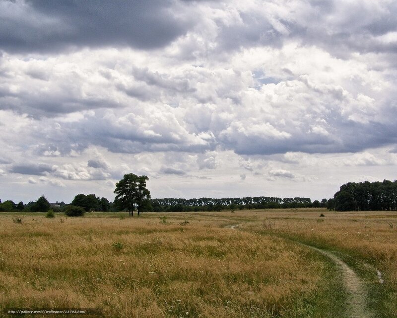 Grassy field under cloudy sky