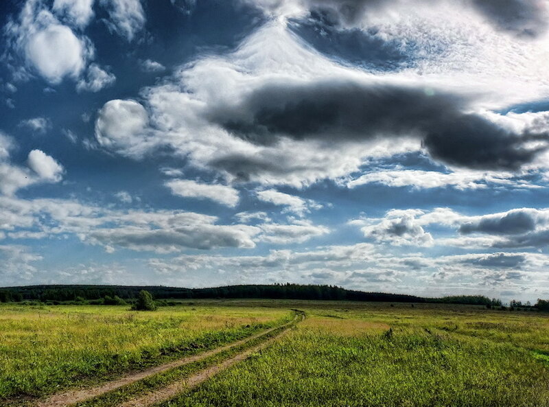 Grassy field under dramatic sky