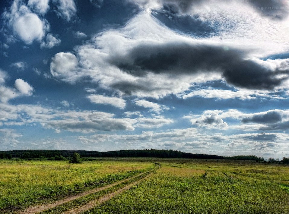 Grassy field under dramatic sky