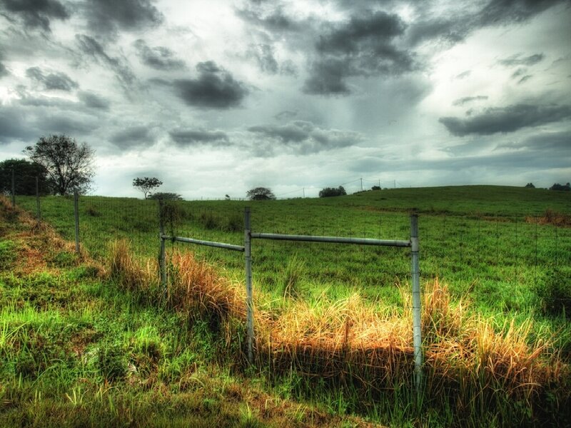 Grassy field under stormy sky