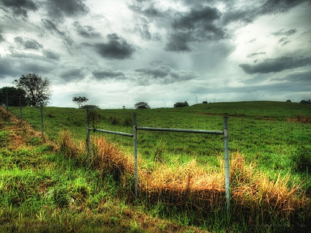 Grassy field under stormy sky