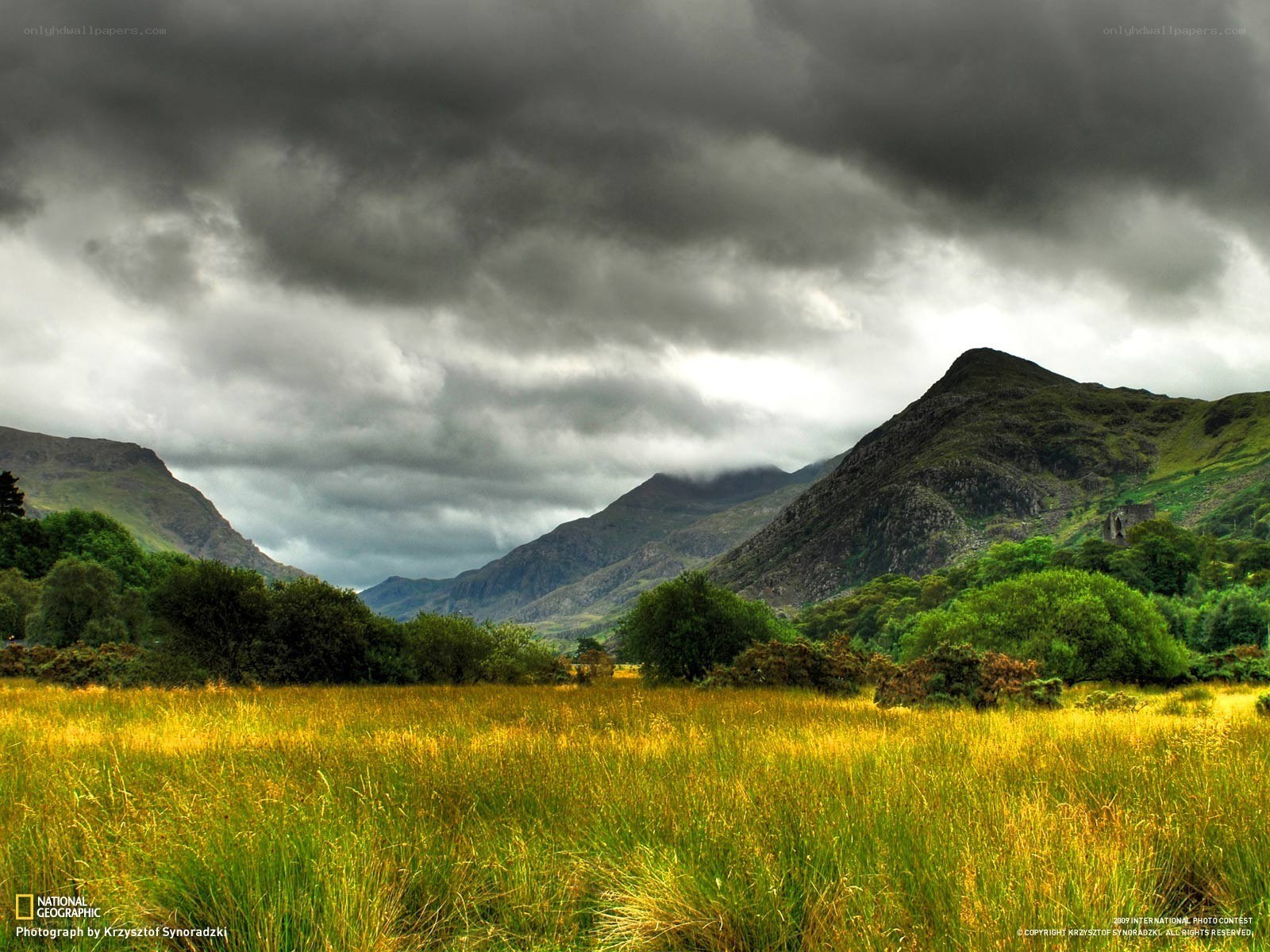 Grassy field under stormy sky