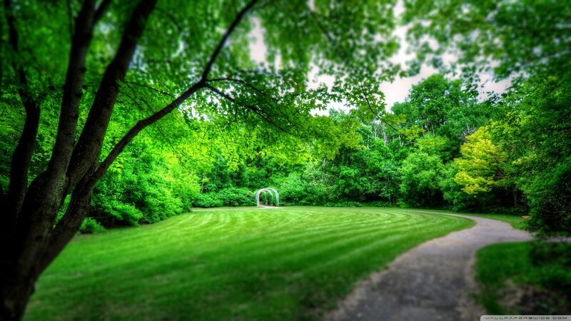 Grassy Field with Arch