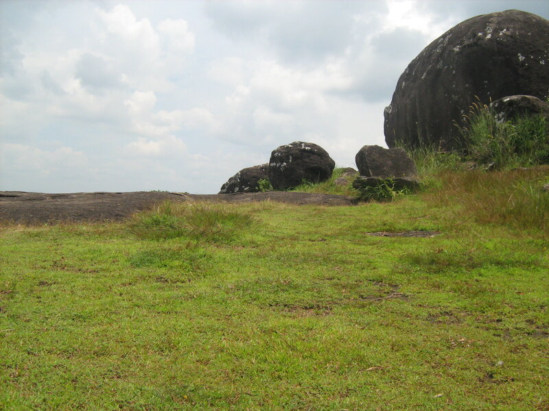 Grassy Field with Boulders