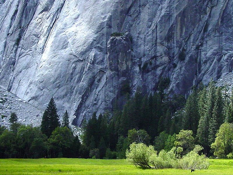 Grassy Field with Cliff