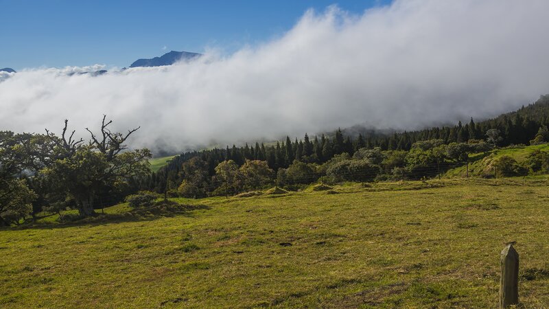 Grassy field with clouds and mountains