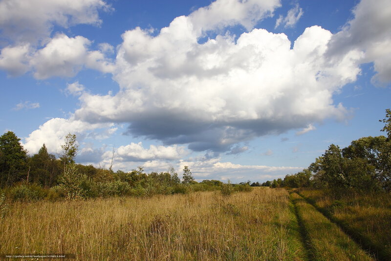 Grassy Field with Clouds — Blue