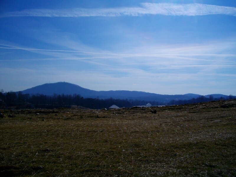 Grassy field with distant mountains