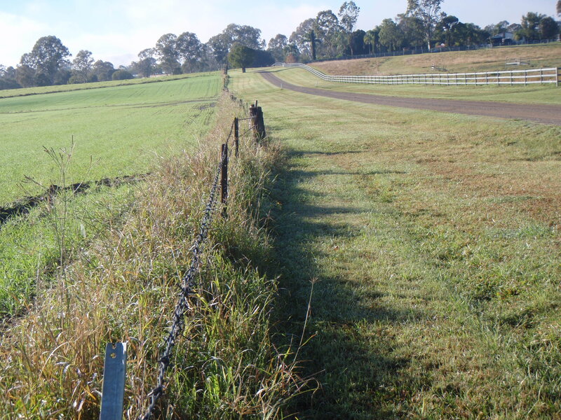 Grassy Field with Fence