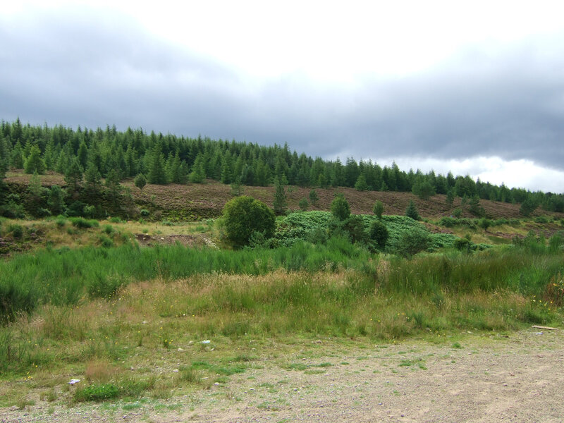 Grassy field with forested hill