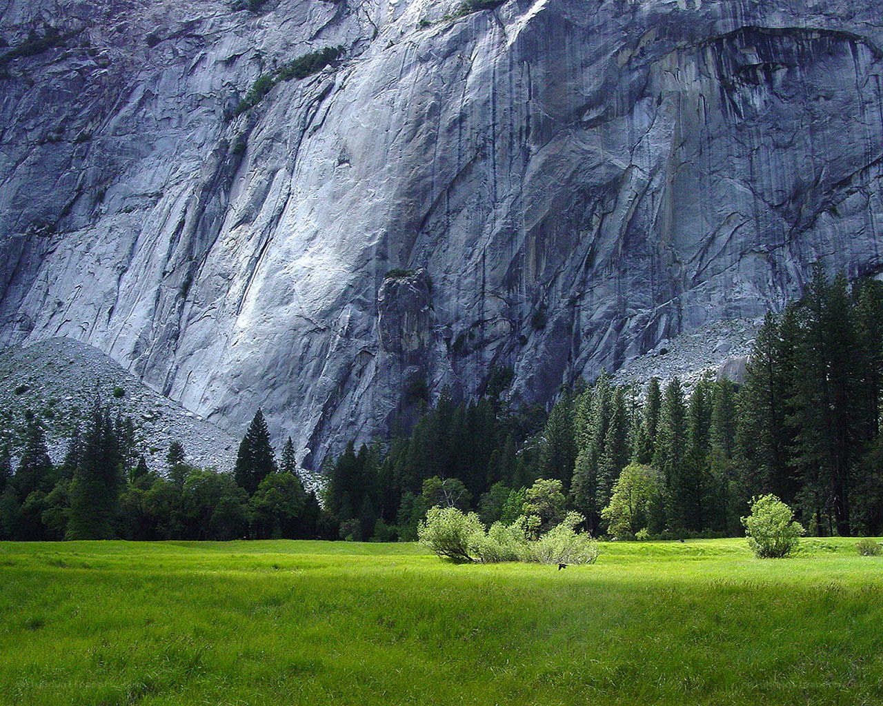 Grassy field with granite cliff