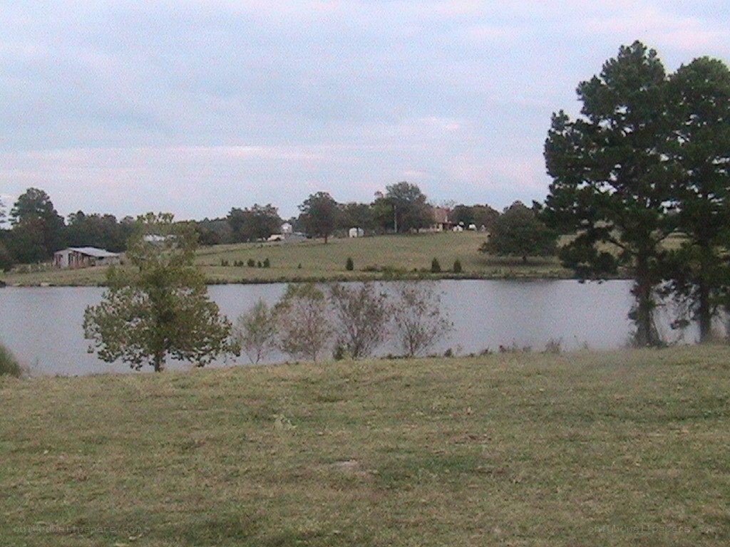 Grassy field with lake and trees