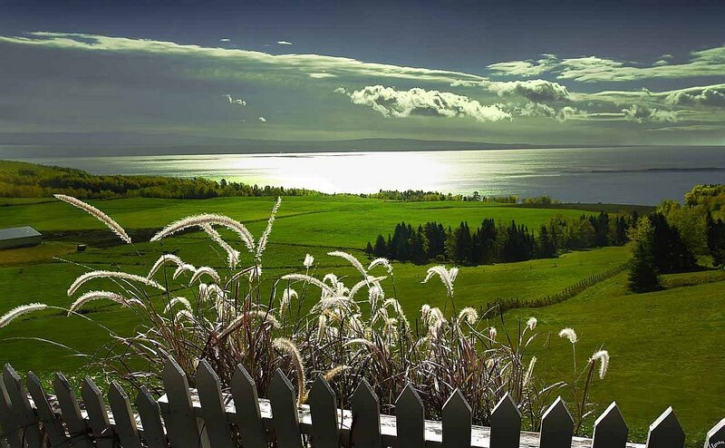 Grassy Field with Lake