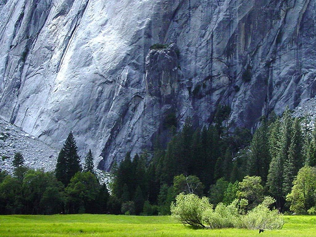 Grassy field with mountain backdrop