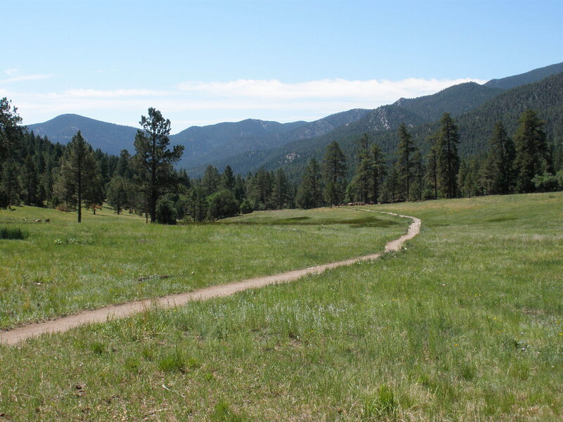 Grassy field with mountain trail