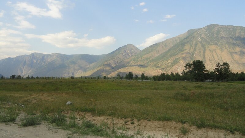 Grassy field with mountains