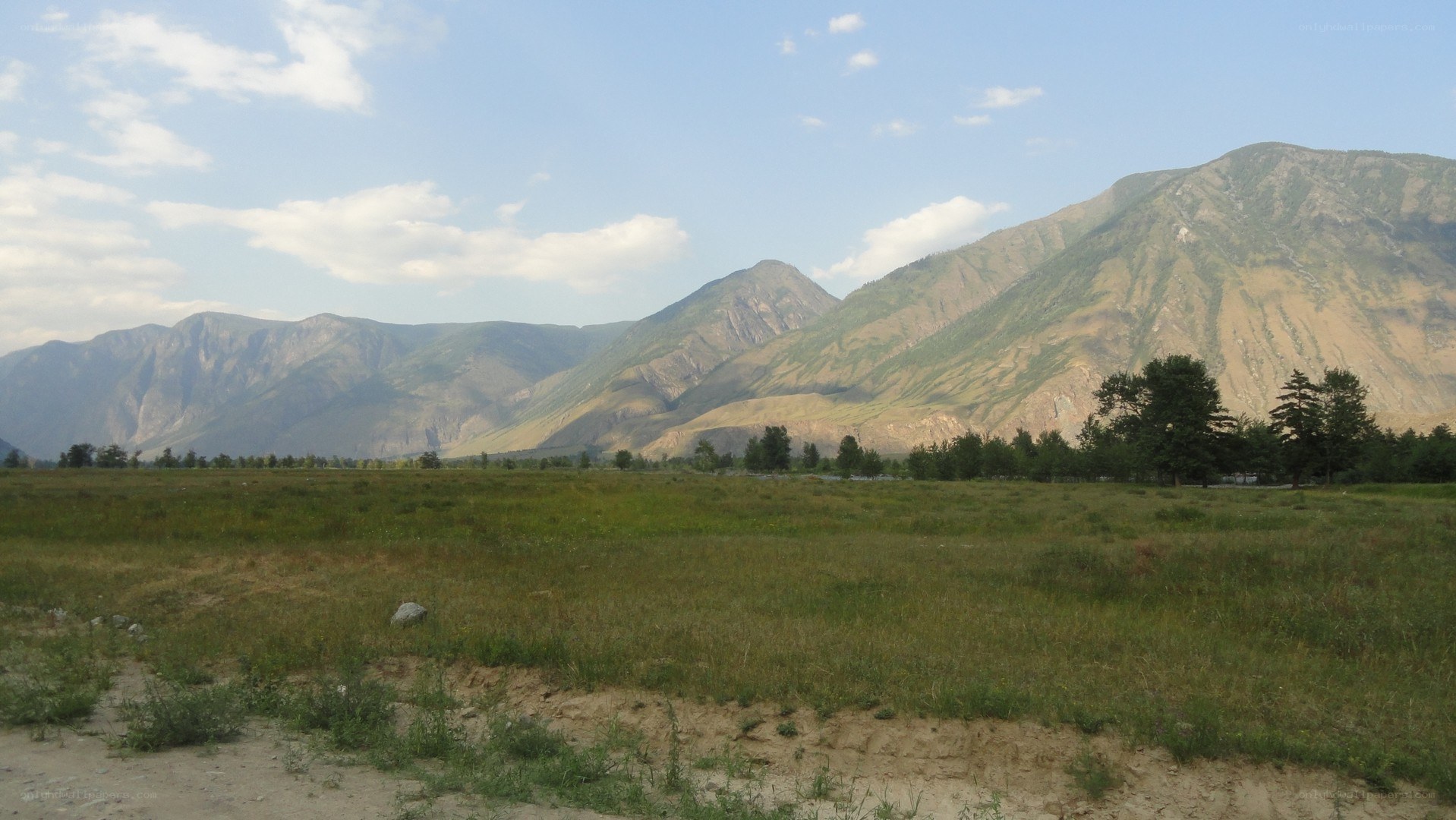 Grassy field with mountains