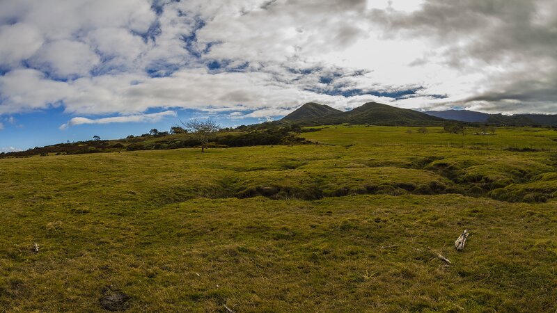 Grassy field with mountains