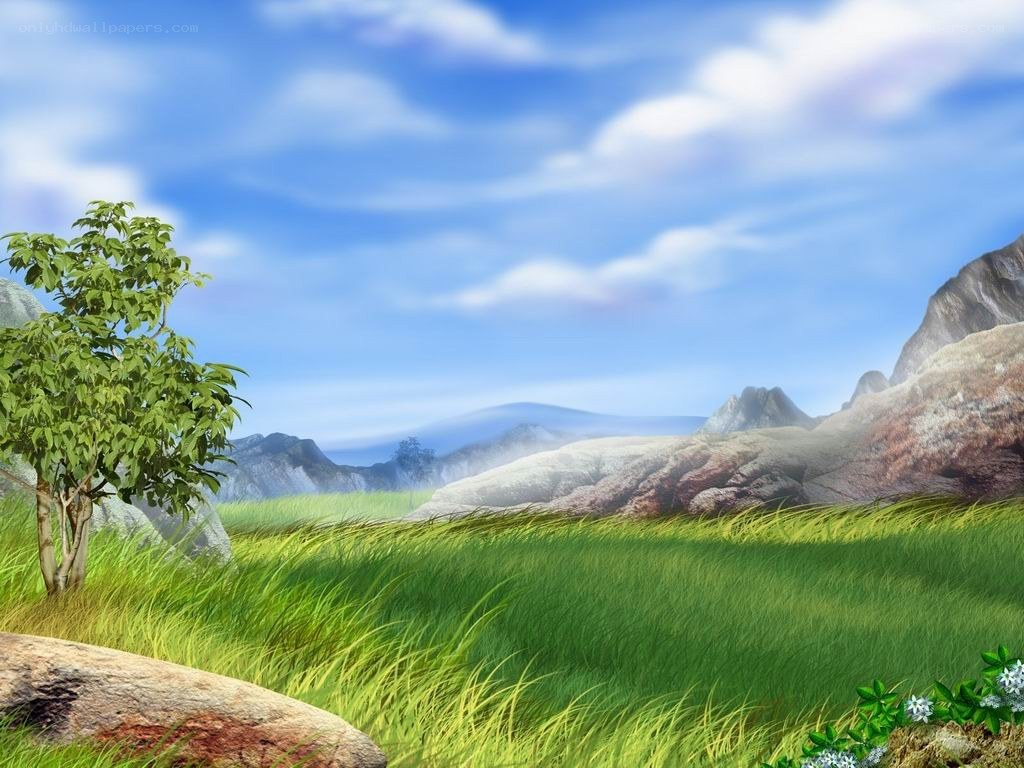Grassy field with mountains