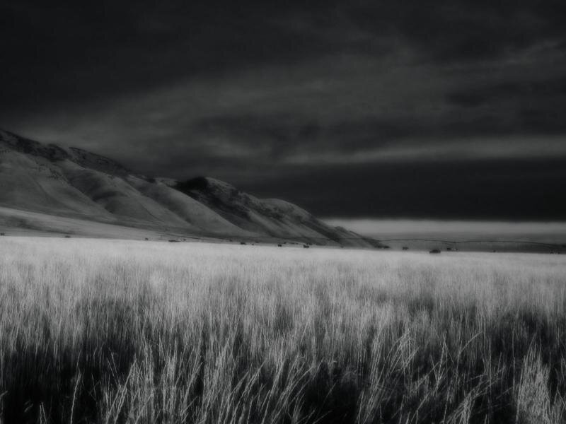 Grassy Field with Mountains — Black