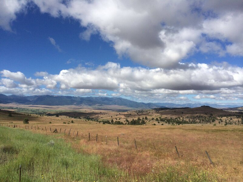 Grassy Field with Mountains — Blue