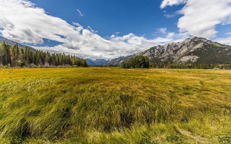 Grassy Field with Mountains — Green, Serene