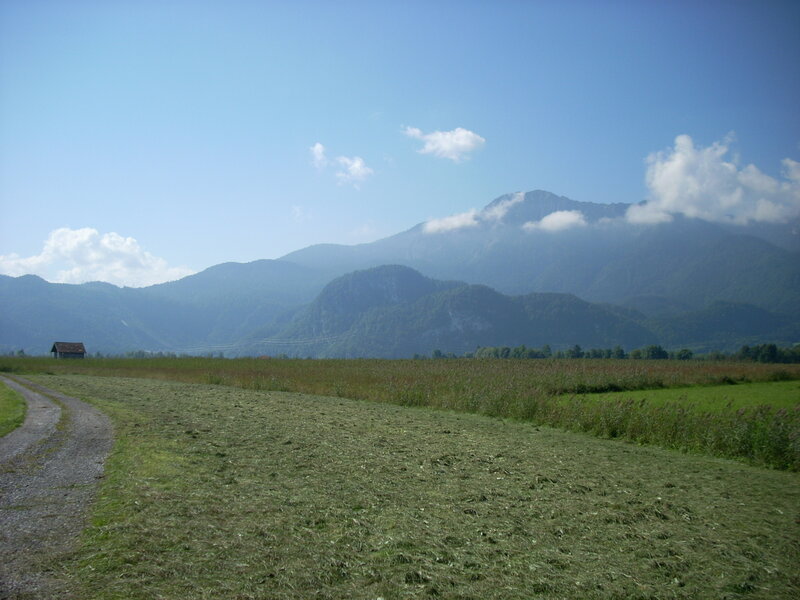 Grassy field with mountains in background