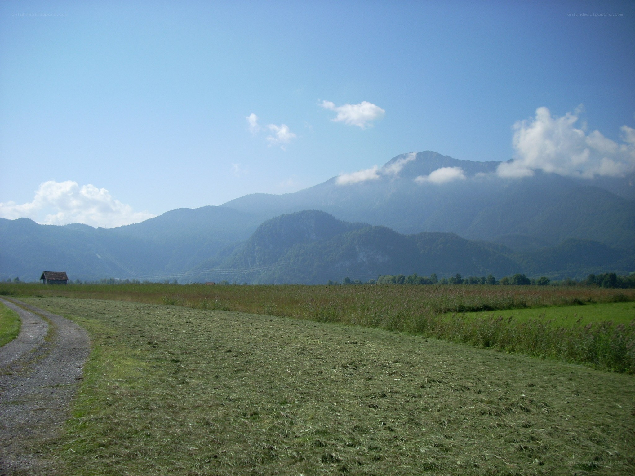 Grassy field with mountains in background