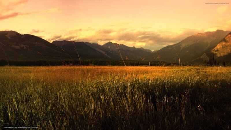Grassy Field with Mountains — Orange