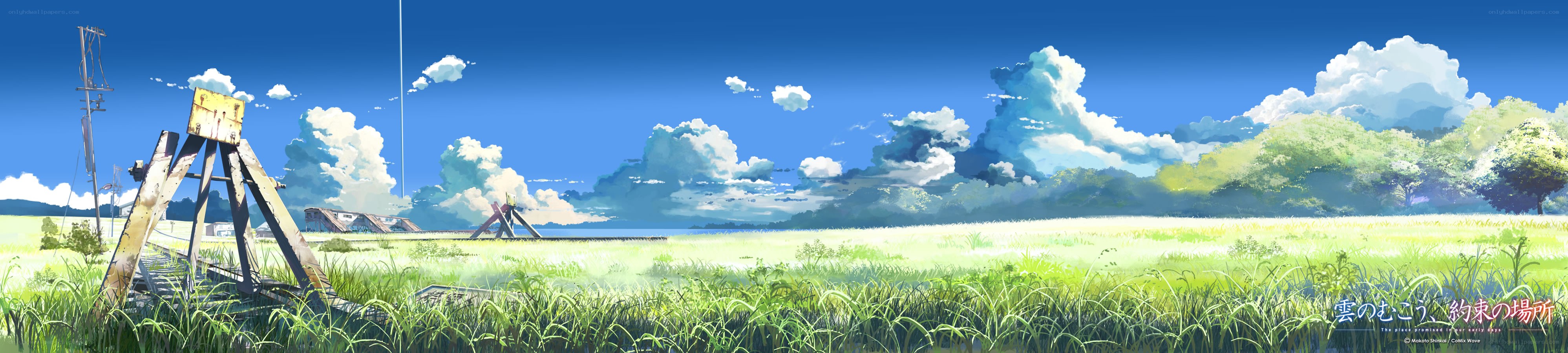 Grassy field with railway tracks