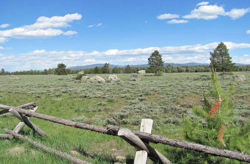 Grassy Field with Rocks