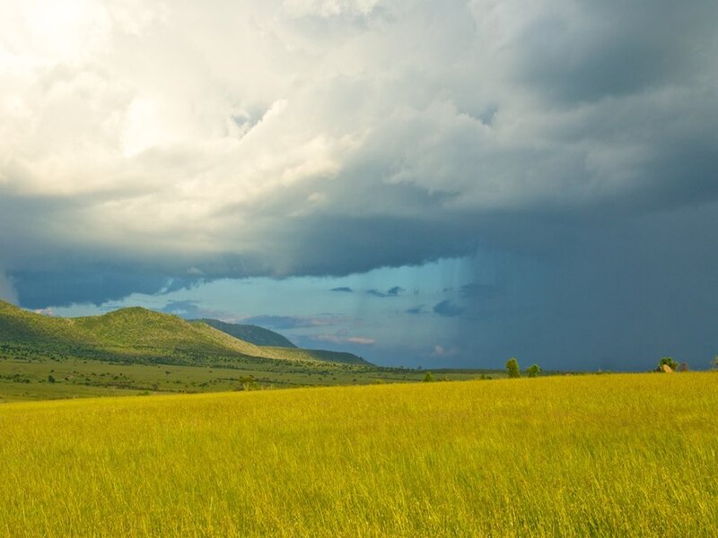 Grassy Field with Storm