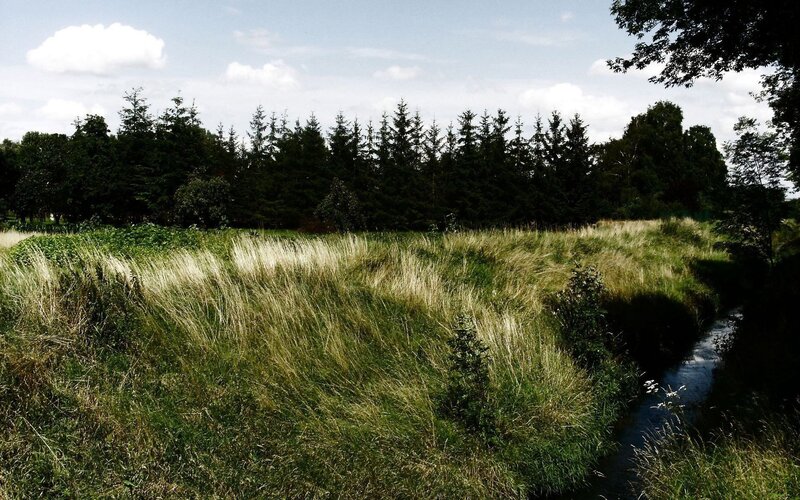 Grassy Field with Stream — Green, Serene, Afternoon