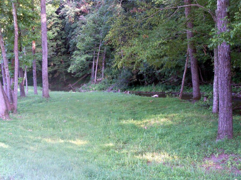 Grassy Field with Stream