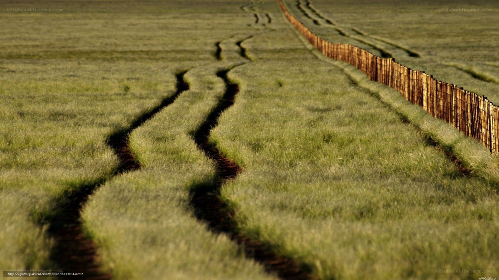 Grassy field with tire tracks