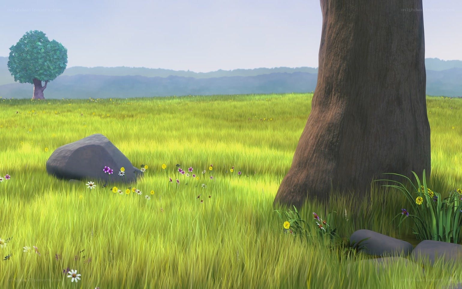 grassy field with tree