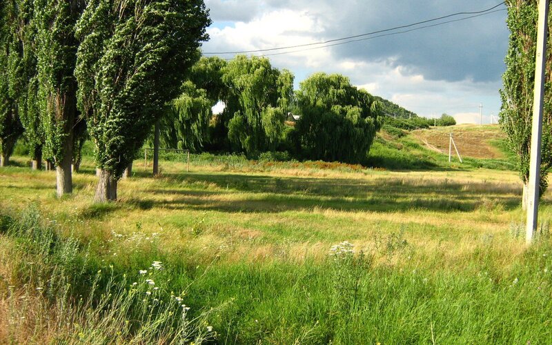 Grassy field with trees and hills