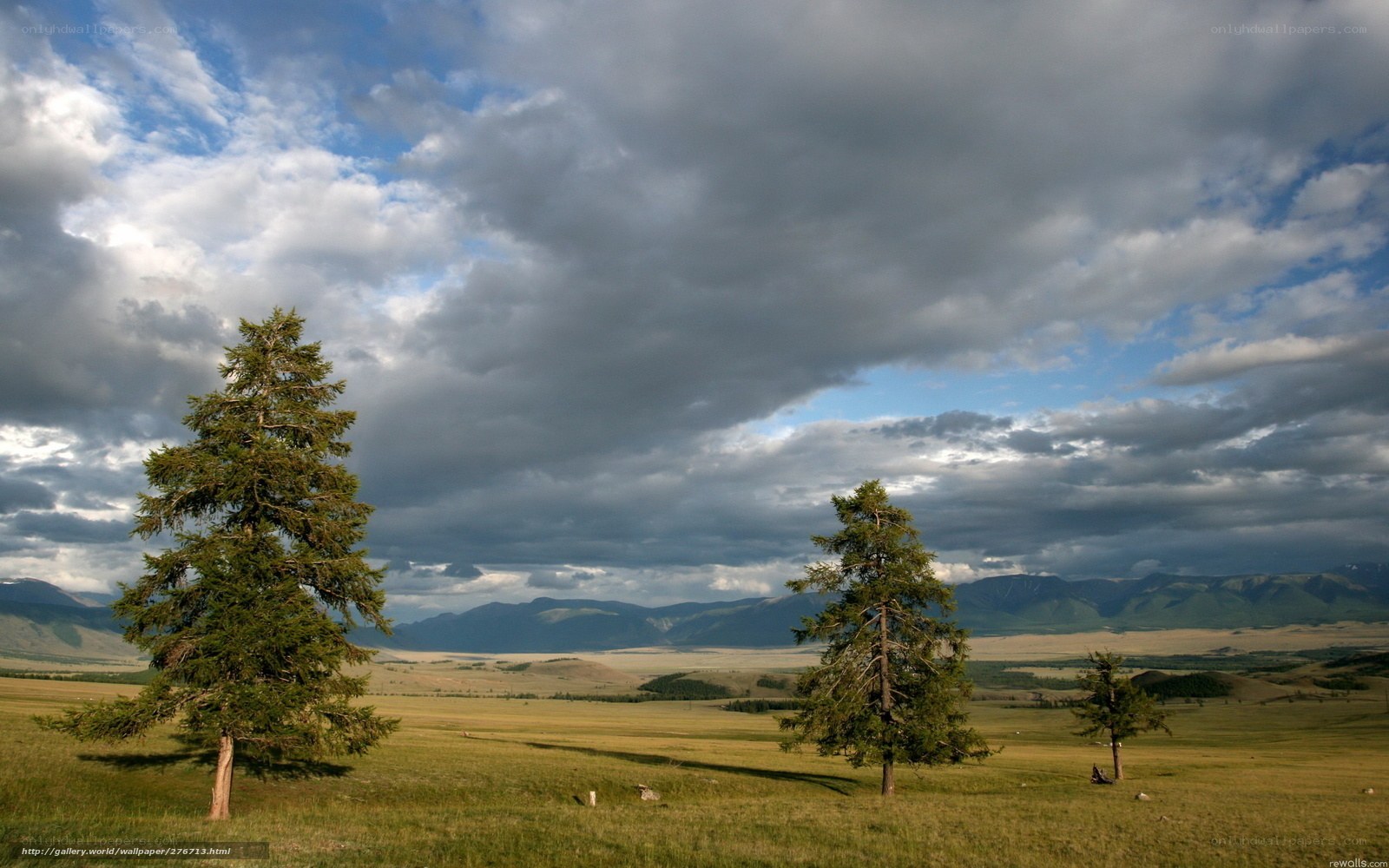 Grassy field with trees and mountains