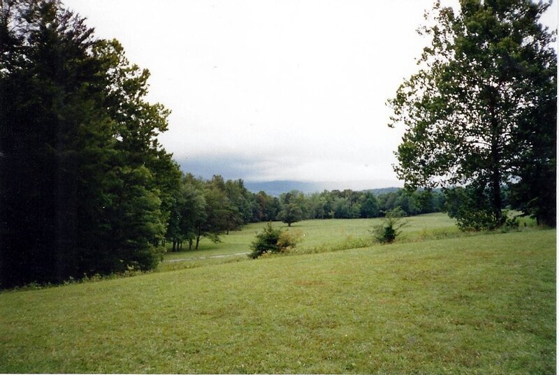 Grassy Field with Trees — Green, Calm, Afternoon